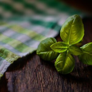 basil, herb, fresh herb, ingredient, seasoning, basil, basil, basil, basil, basil, herb
